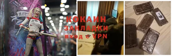 прущие грибы Вяземский