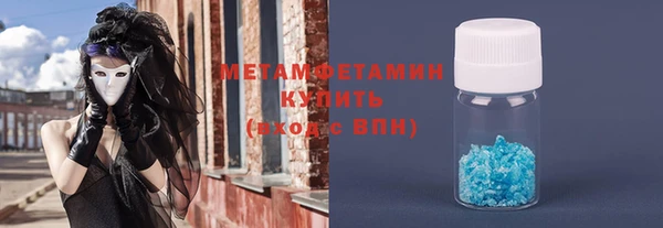 прущие грибы Вяземский