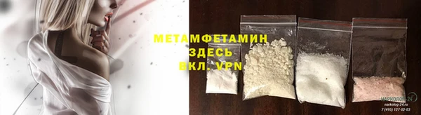 прущие грибы Вяземский