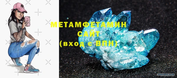 прущие грибы Вяземский