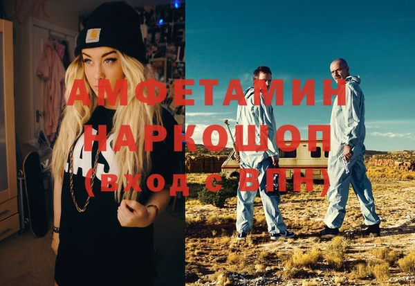 прущие грибы Вяземский