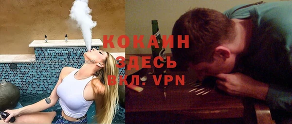 прущие грибы Вяземский