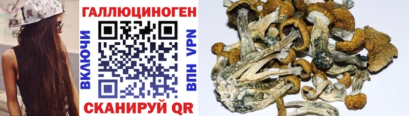 Псилоцибиновые грибы Magic Shrooms  Кандалакша 